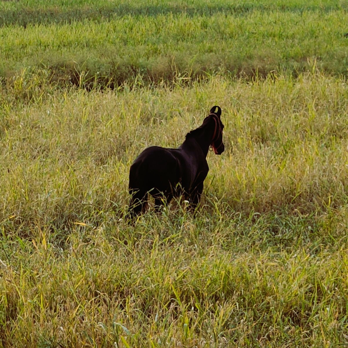 a white car parked in front of a building