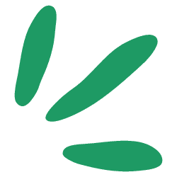 Spongebob Draws Realistic Face to Simple Circle