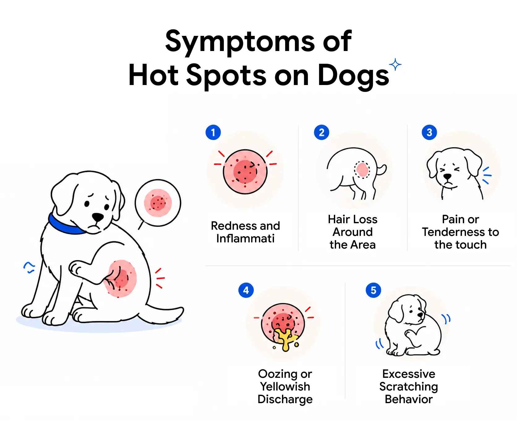 An infographic showing the signs of hot spots in dogs.