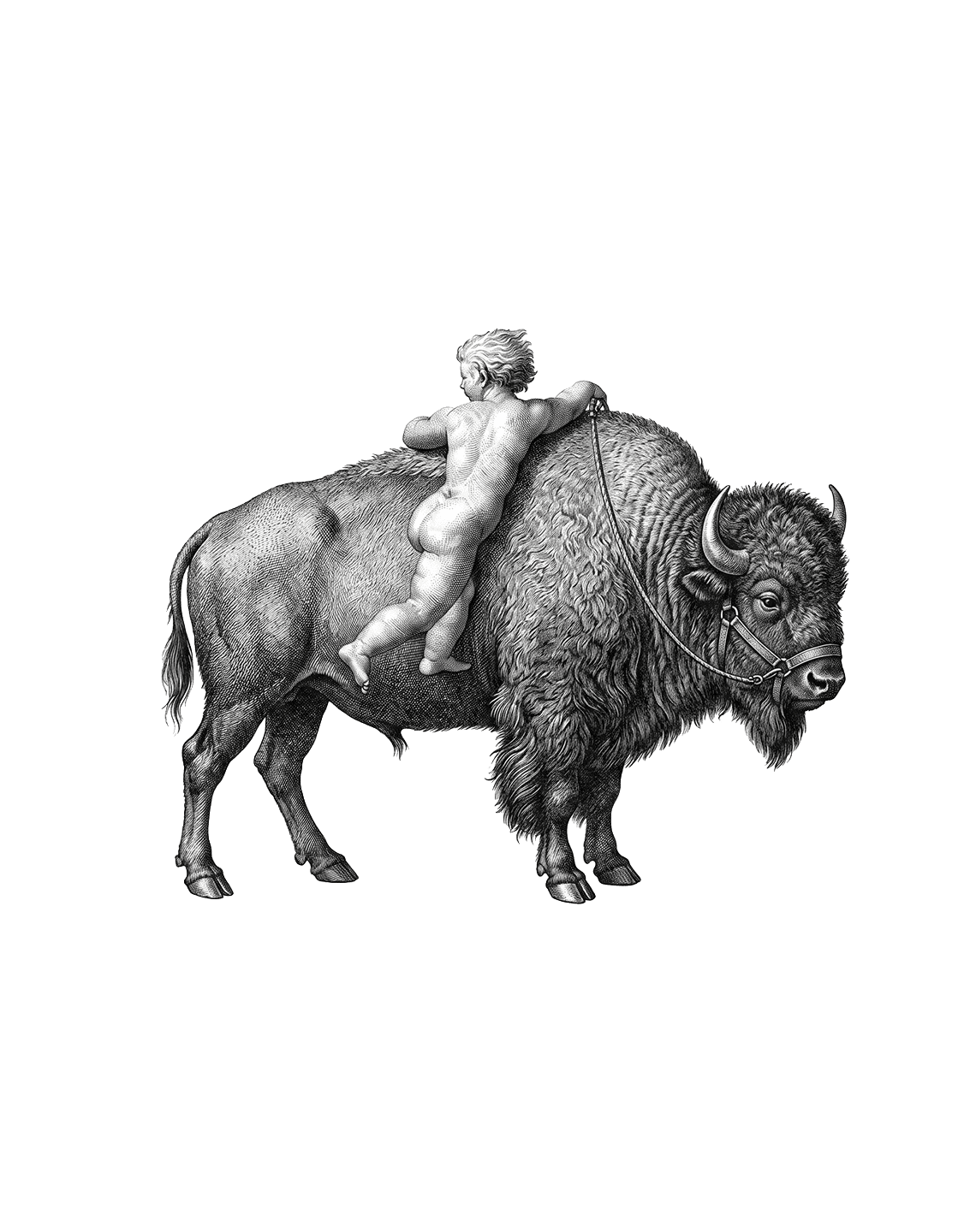 Sirkelformet Bison Web-logo
