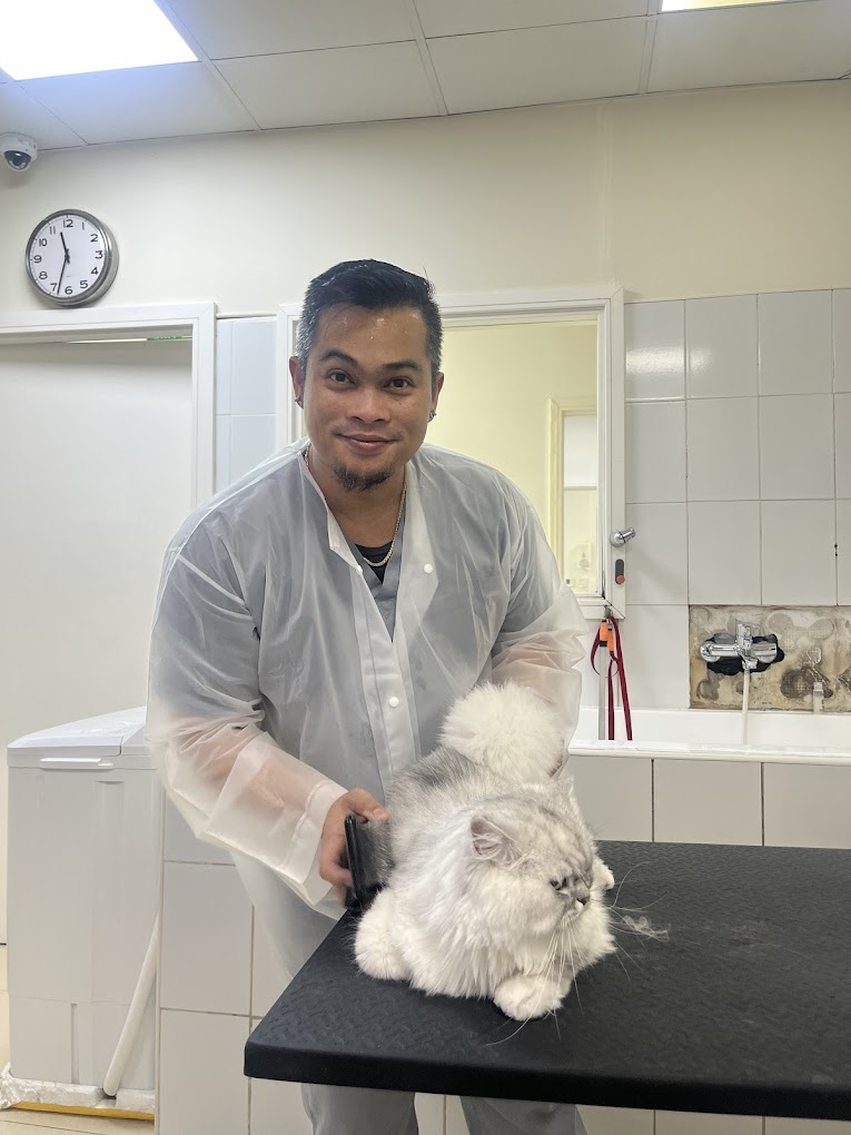 Victorina, the head groomer at the Star Veterinary Clinic with a cat getting groomed