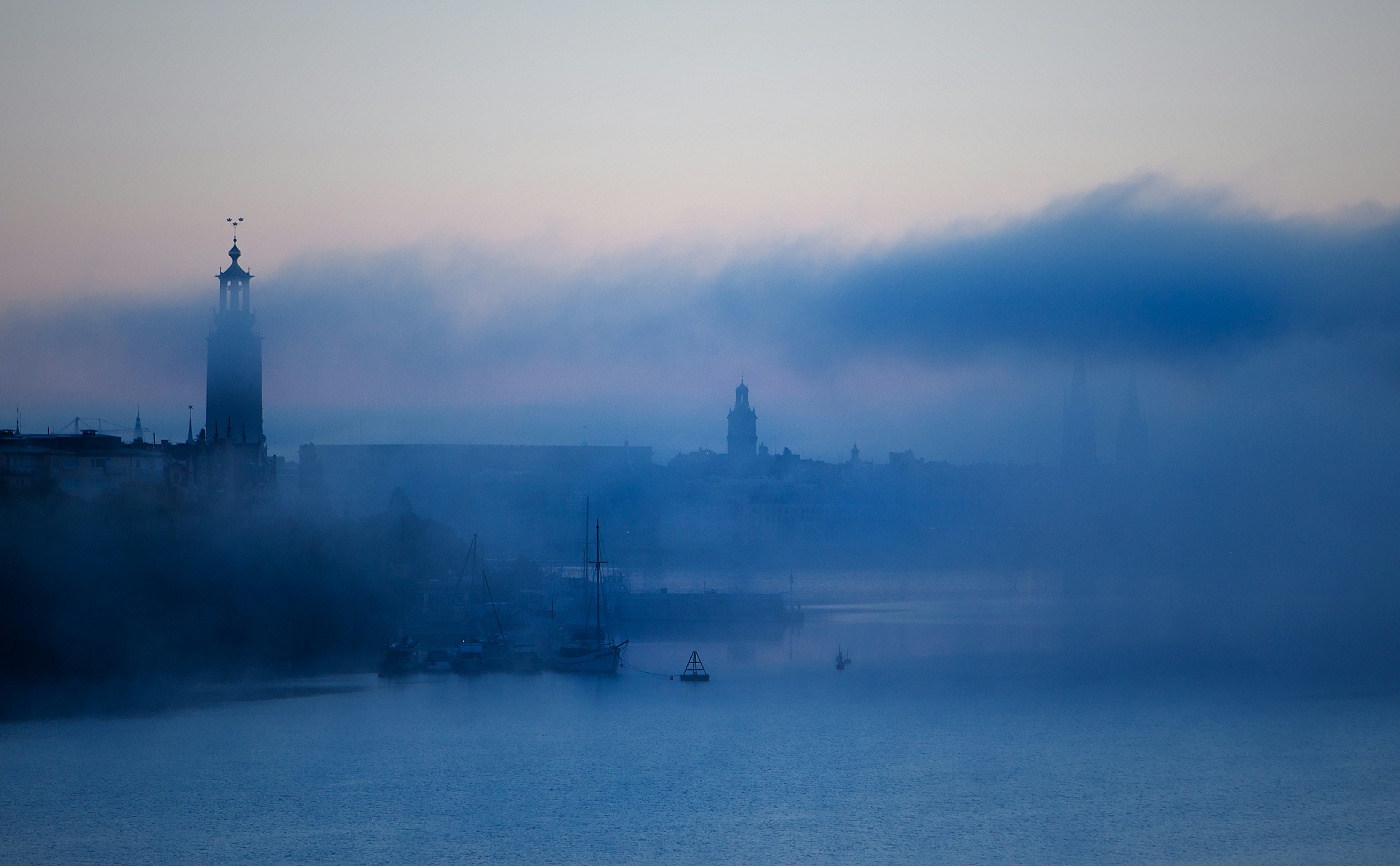Image showing a black sheep, surrounded by white sheeps. When the world zigs, zag.