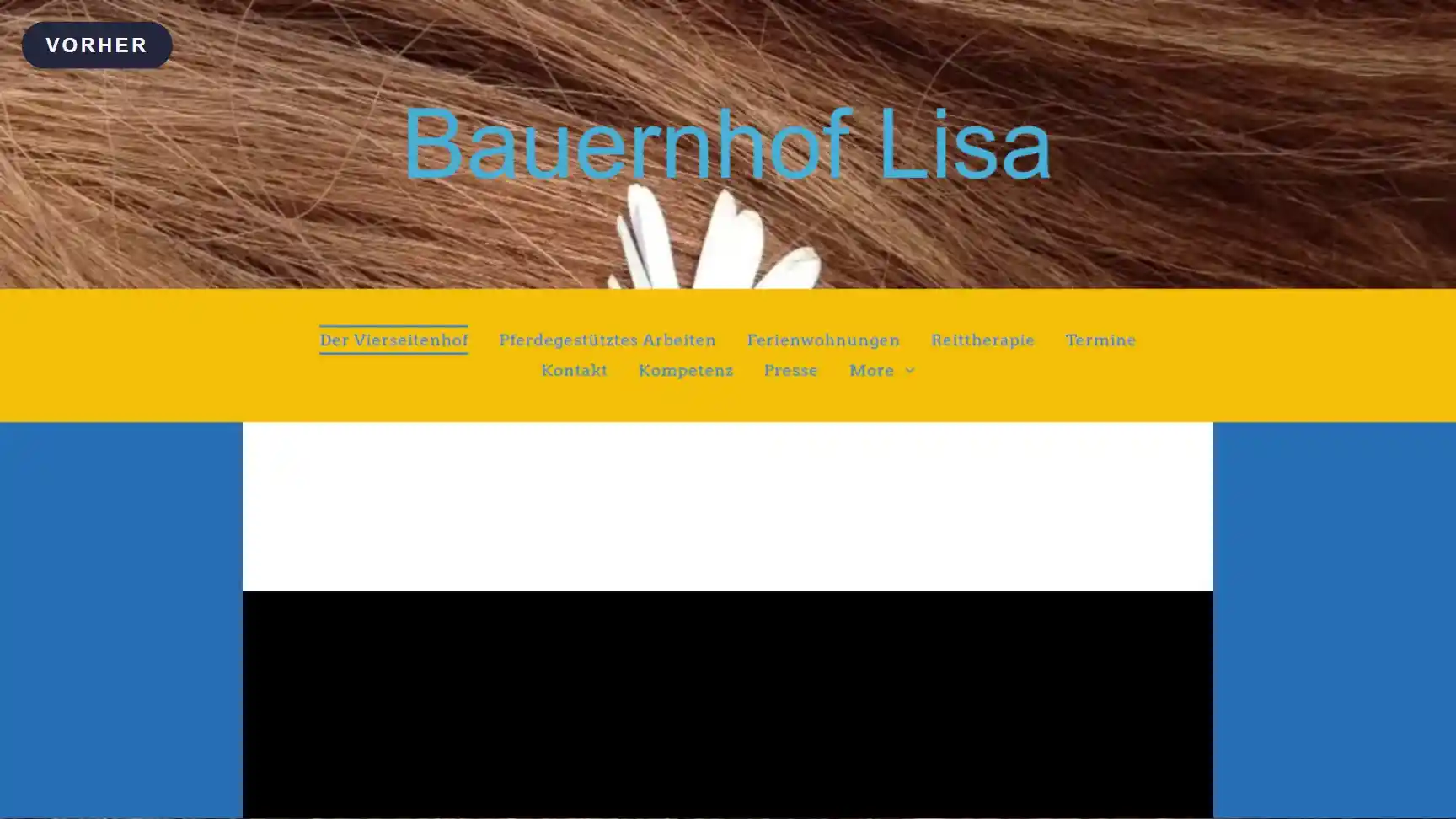 Animation: Ein Schieberegler wandert über die Startseite von Bauernhof Lisa und zeigt links die alte Seite mit blau-gelber Navigation, rechts die neue Seite mit Foto von Kind und Pferd, danach scrollt die neue Seite nach unten.