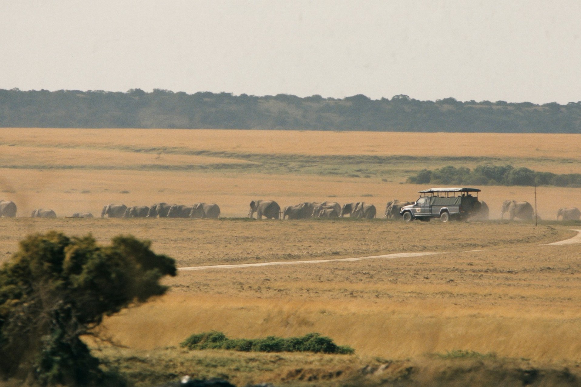 Serengeti and Ngorongoro Safari