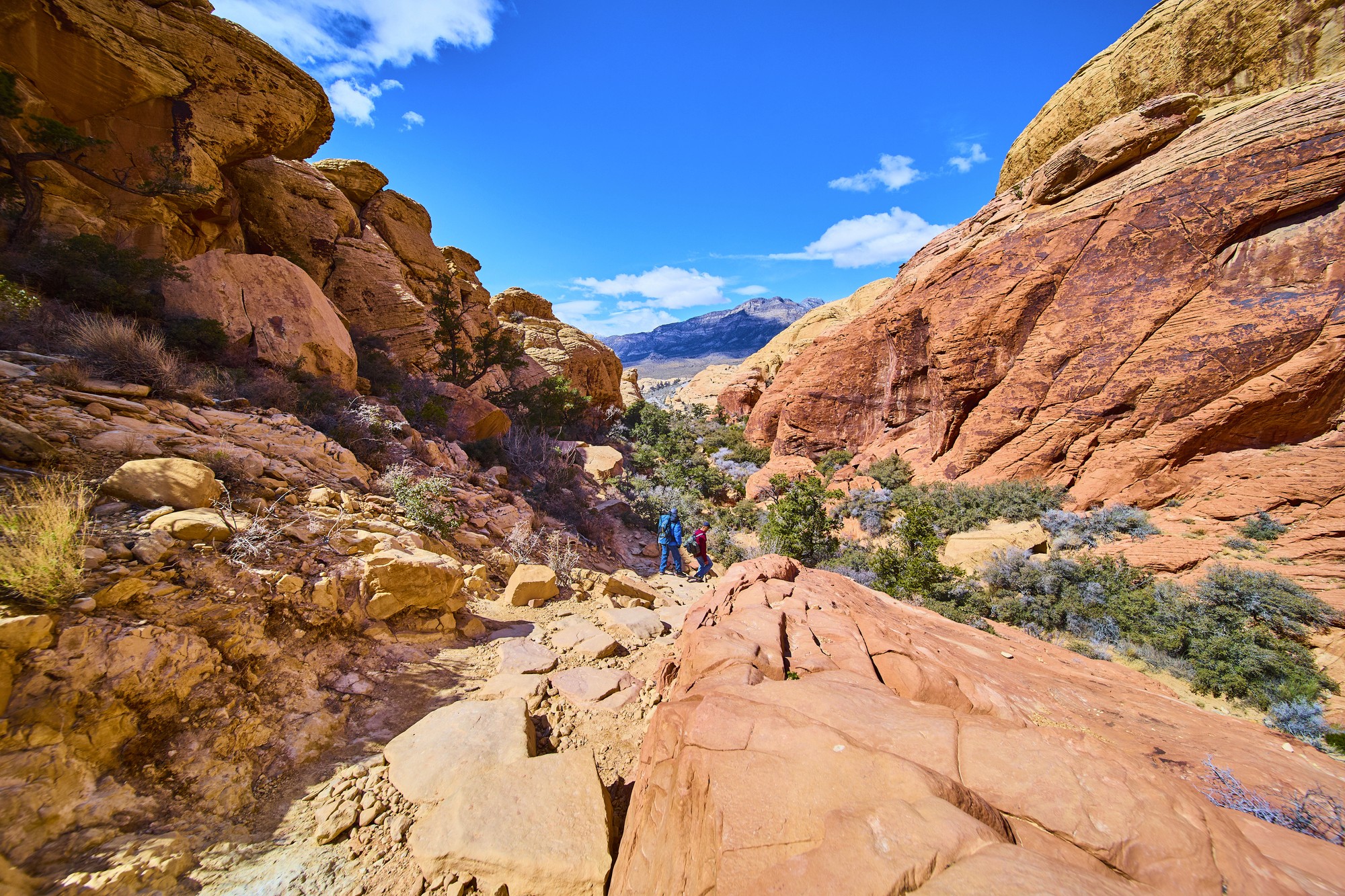 photography of dam during daytime