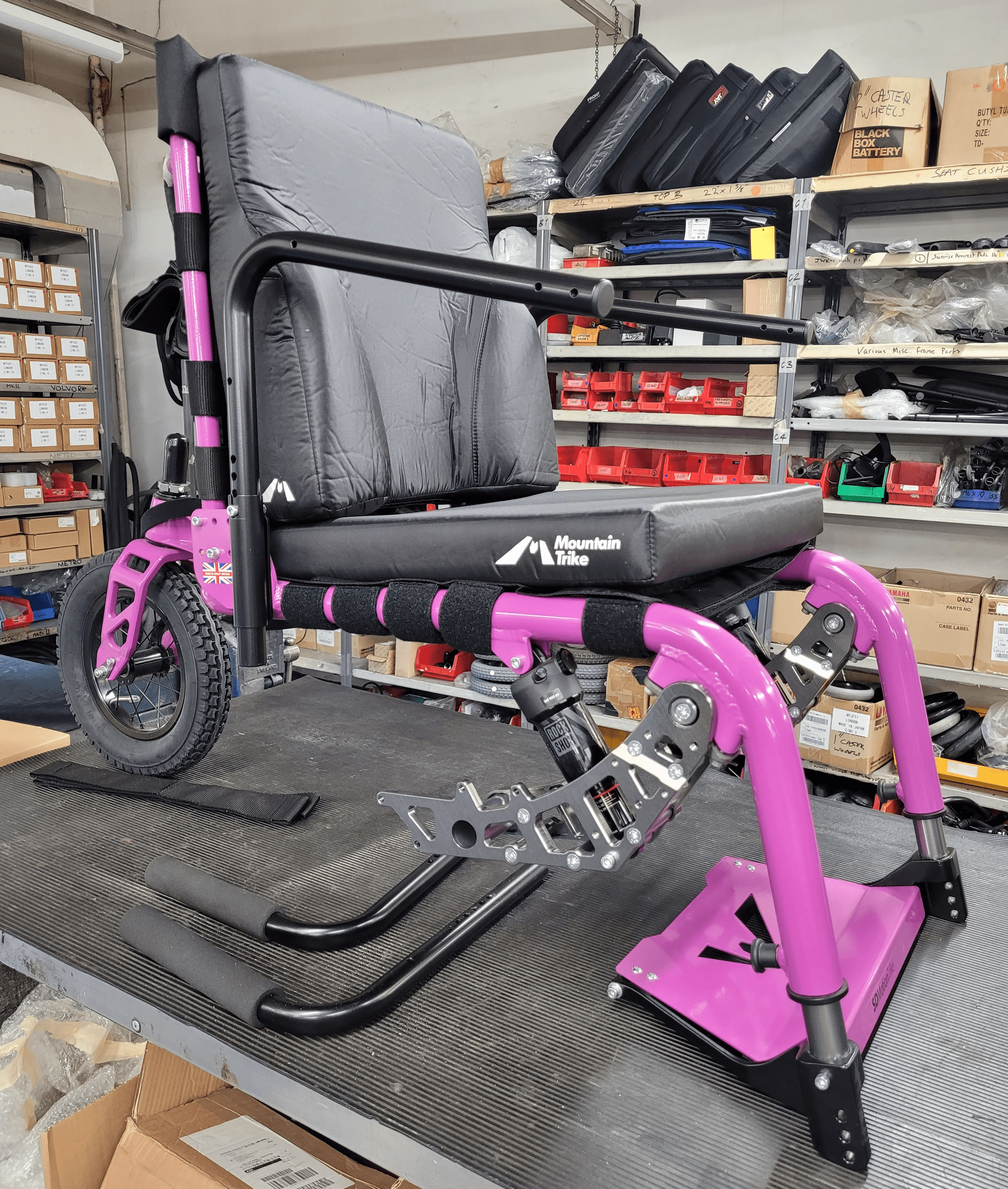 Signal Violet SD Motion Trike