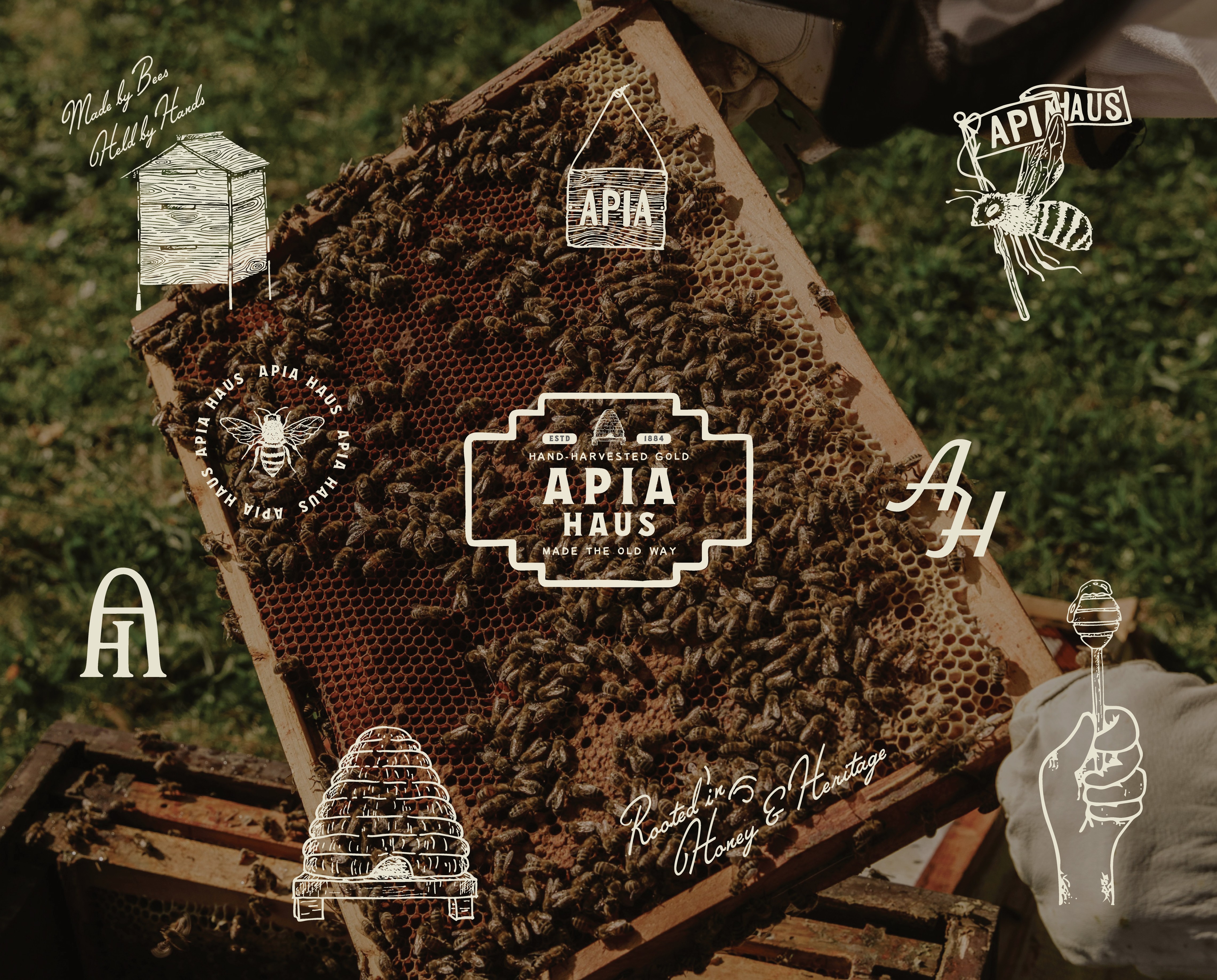 Honey branding with bees