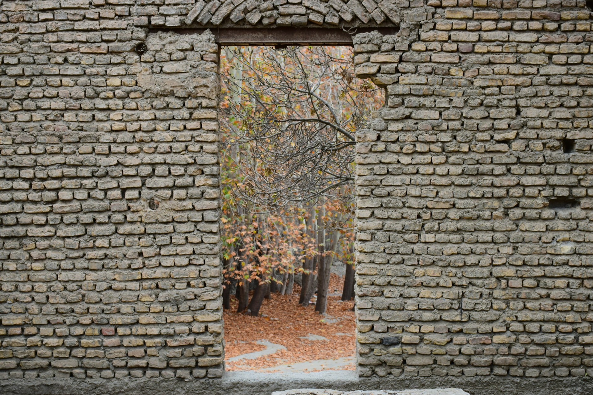 An image of a brick doorway to somewhere new.