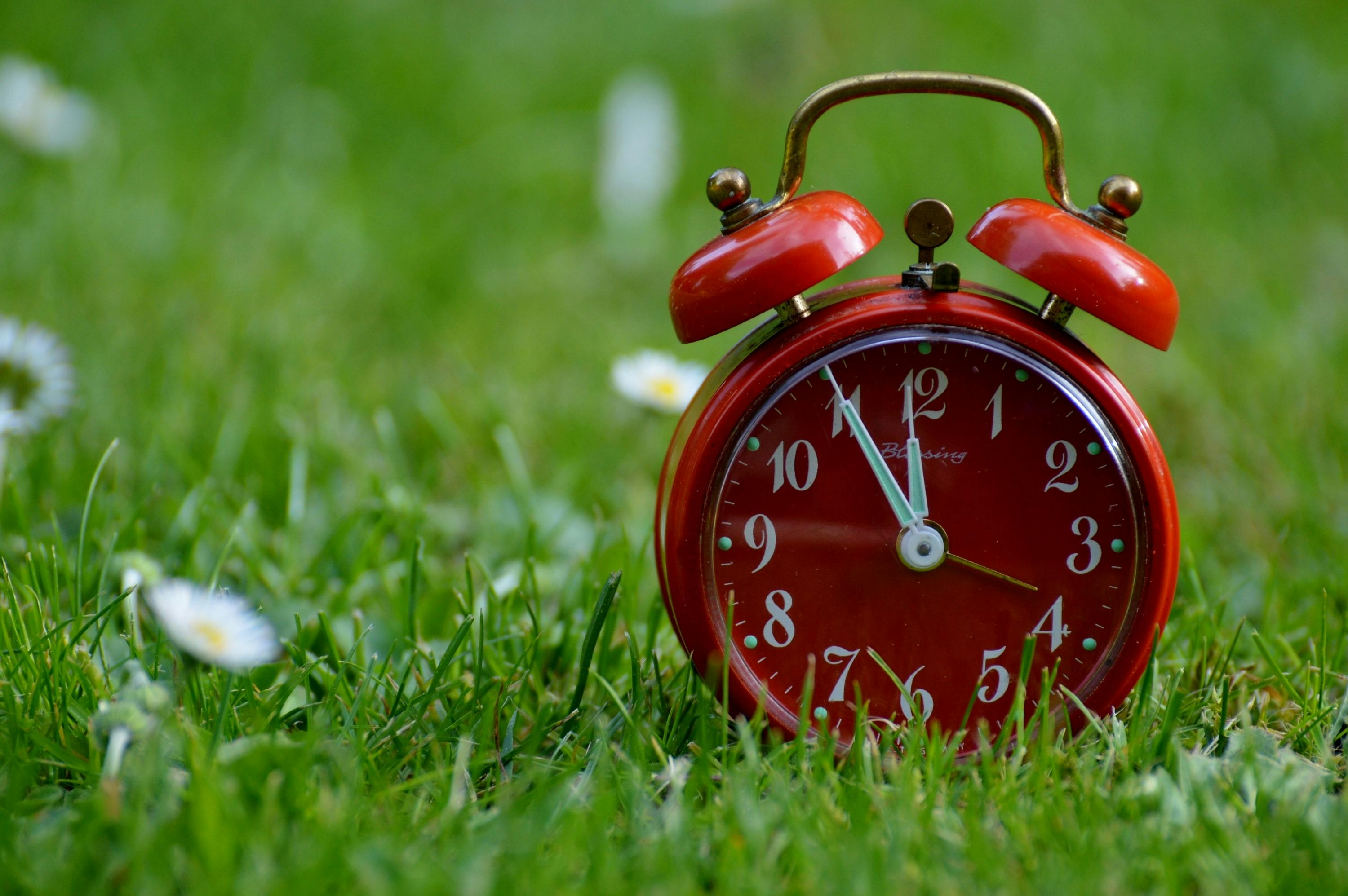 Red 2-bell Alarm Clock on Grass Field