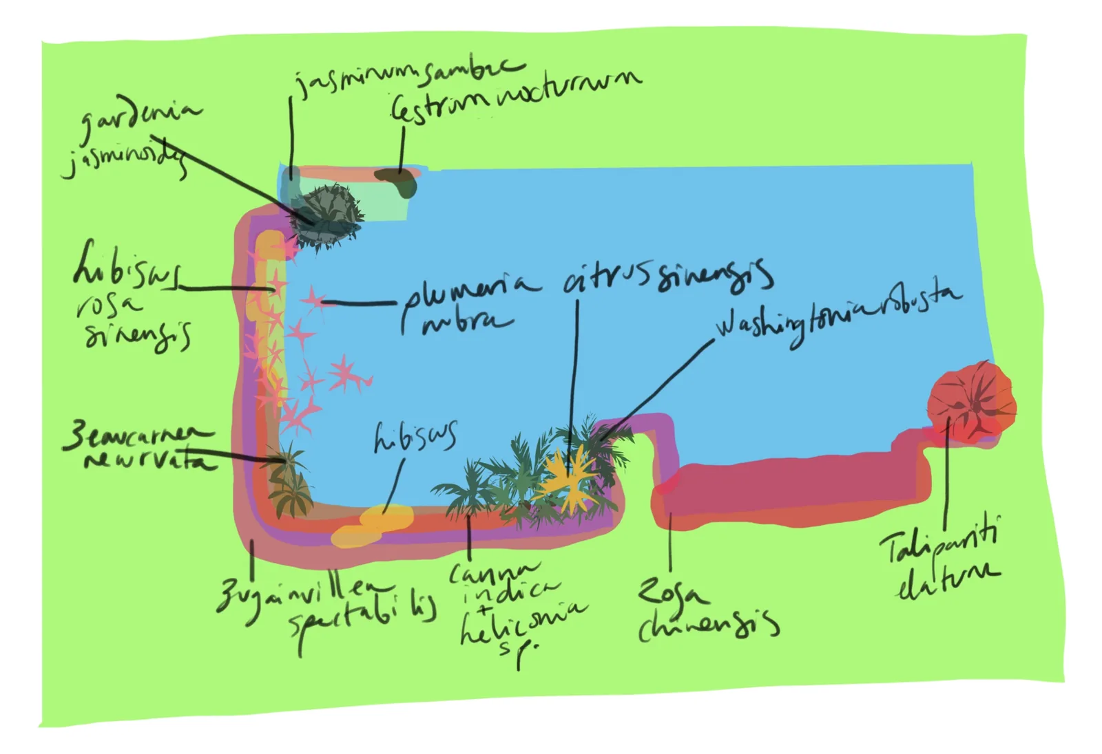 boceto para proyecto polychromania