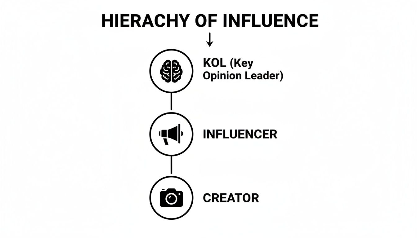 Hierarchical diagram showing KOL, Influencer, and Creator levels of influence with corresponding icons.