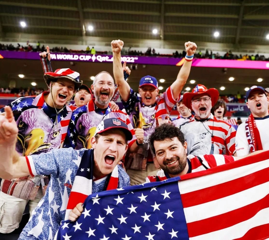 Close-up of a dark green leaf showing its textured surface and central vein against a muted background.