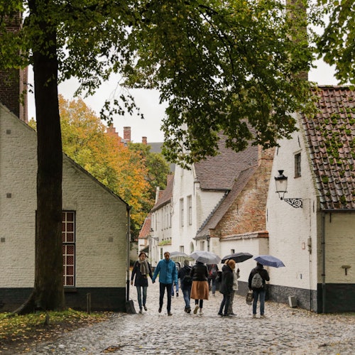 布魯日：從巴黎出發的自助日遊交通票