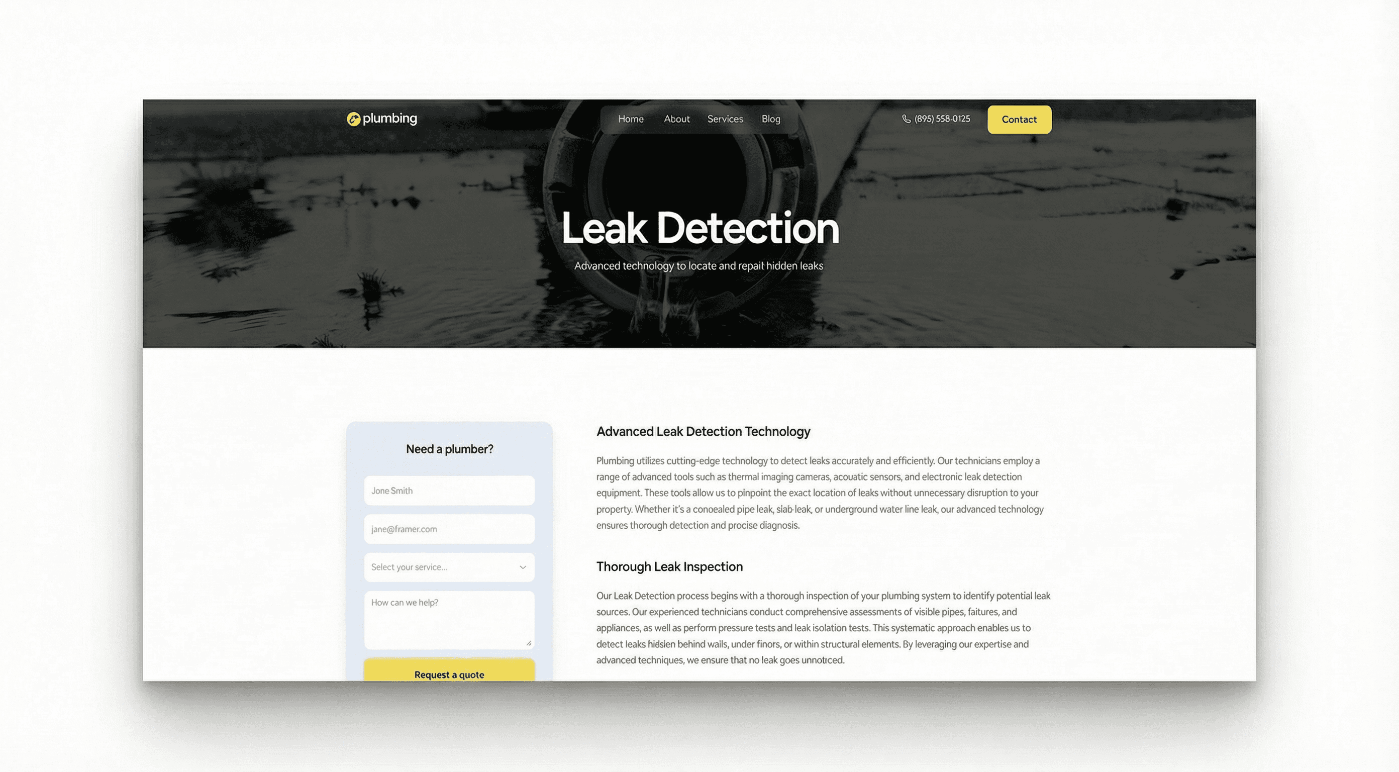 Halton Hills plumbing website - leak detection guide contact form by DAWebDesigns