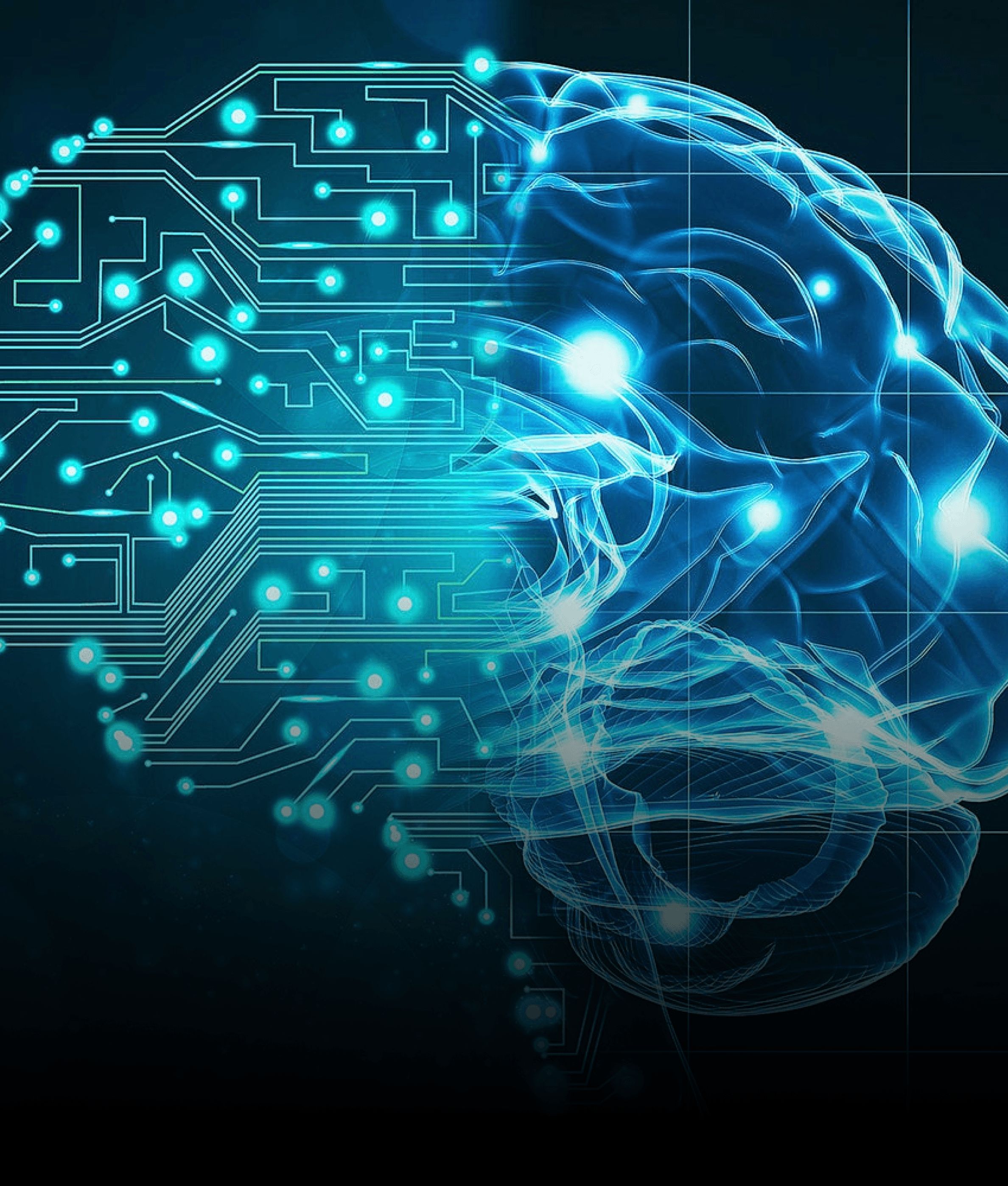 humand-led. Ai-Accelerated