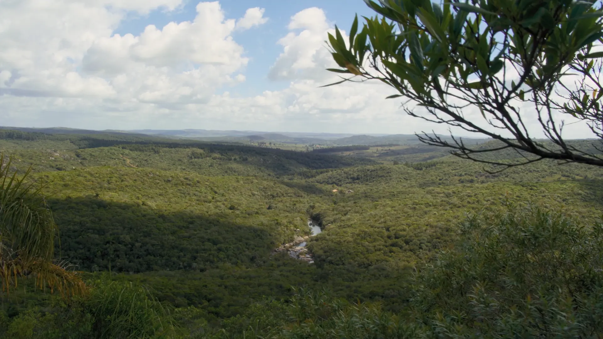 Fueguia para Fueguia: fotograma principal del video que muestra paisaje o escena natural con tonos suaves y mirada contemplativa.