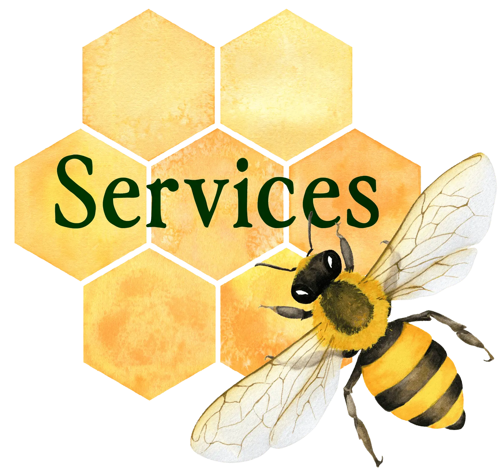 watercolor bee illustration with text: services