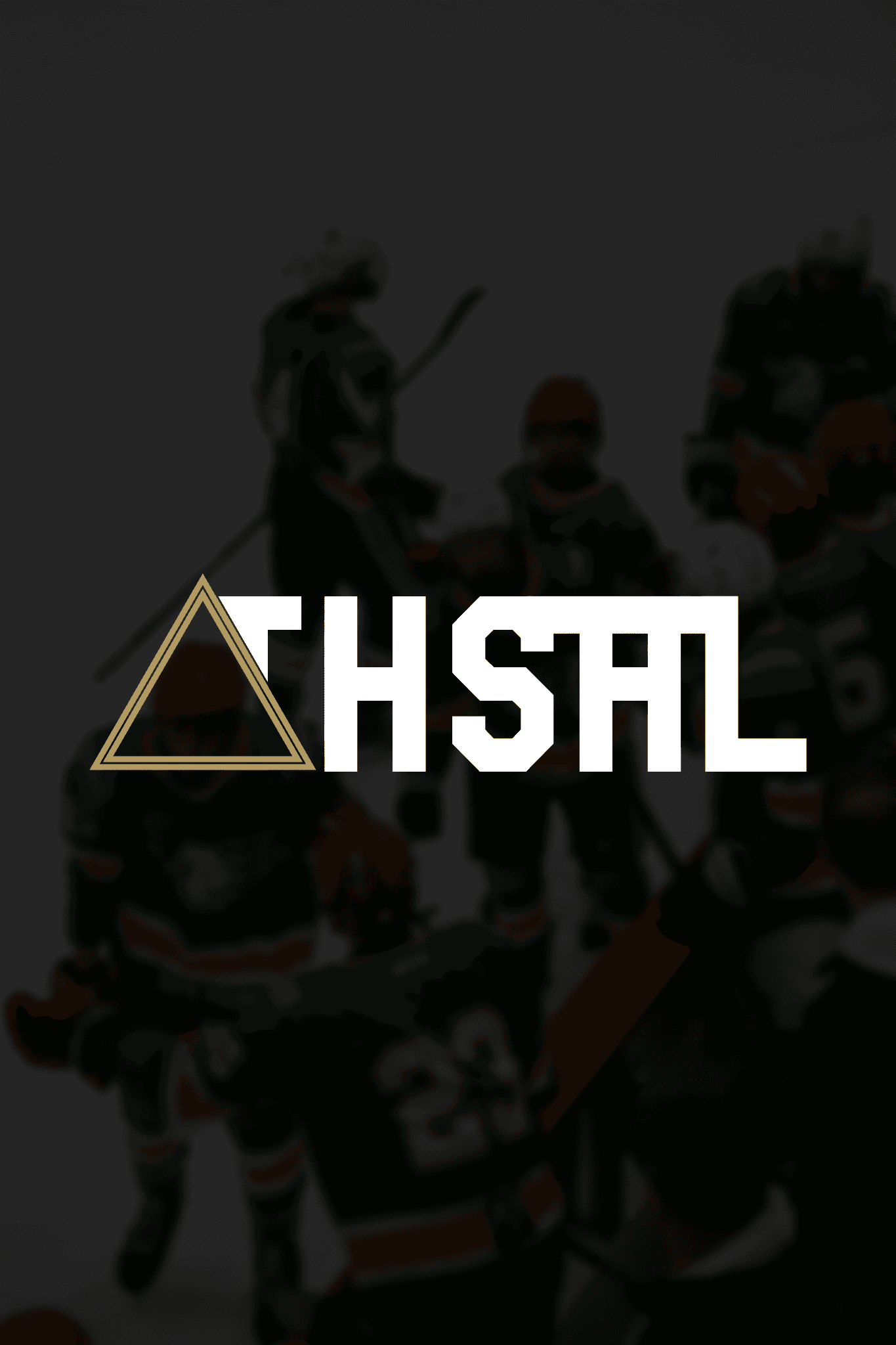 Northbound logo preview