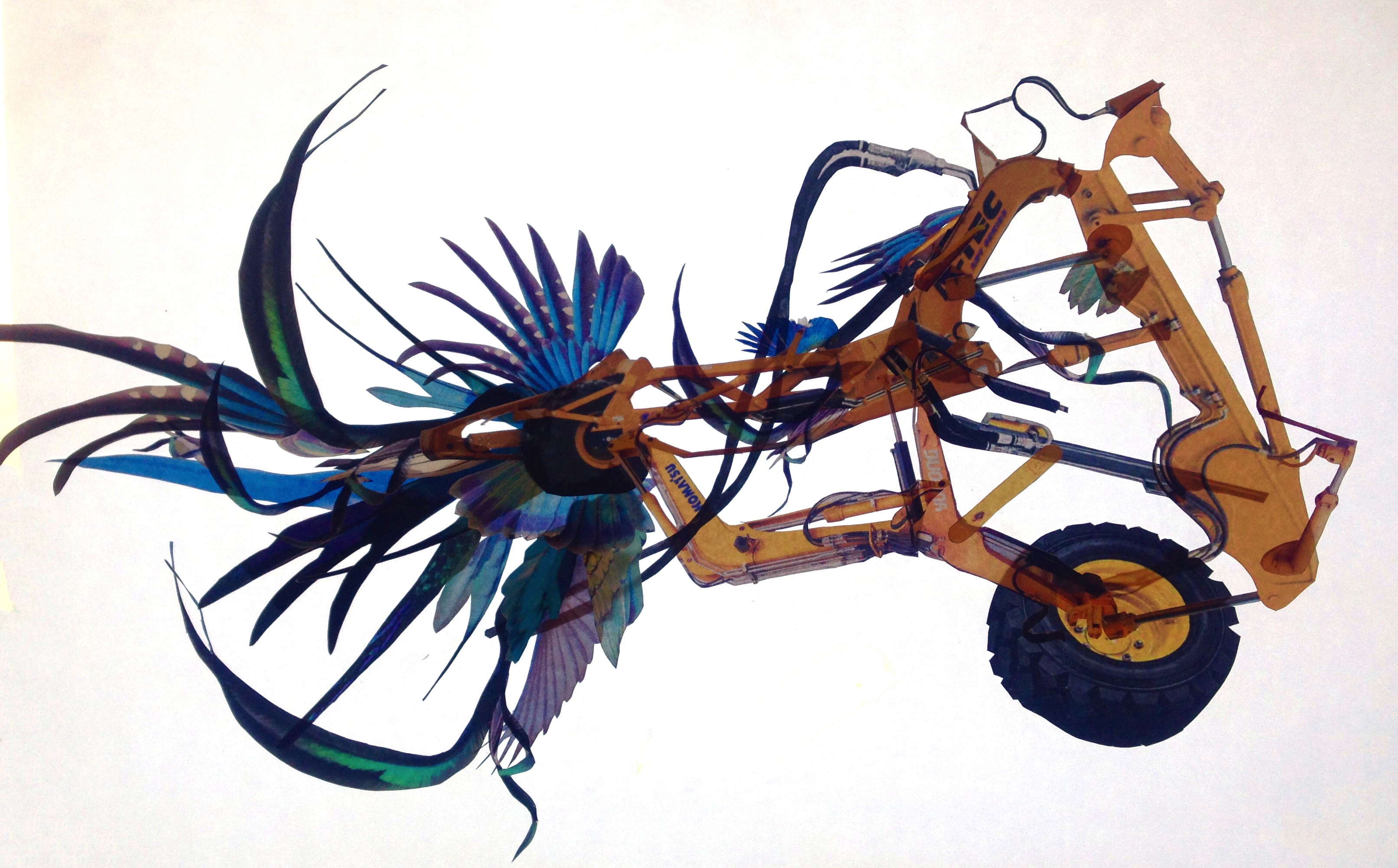 COLLAGE, ILLUSTRATION, AND PHOTOGRAPHY