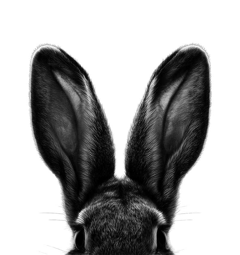 Kreativni radni prostor Crnizec studija u Požegi