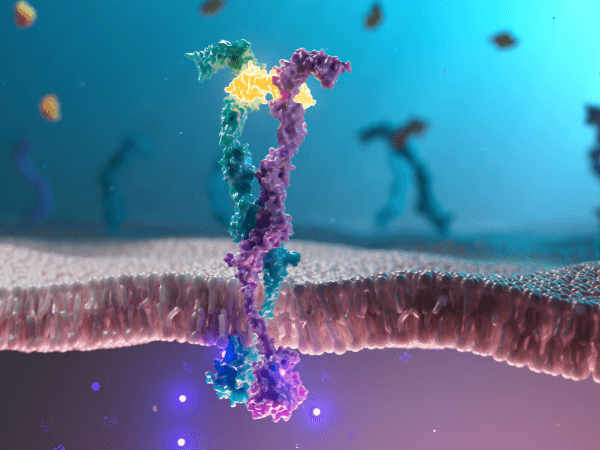 Vascular Endothelial Growth Factor