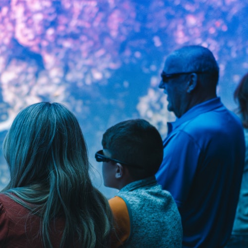 XPERIA - ઓશન યાત્રા: સેવિerville માં પ્રવેશ ટિકિટ