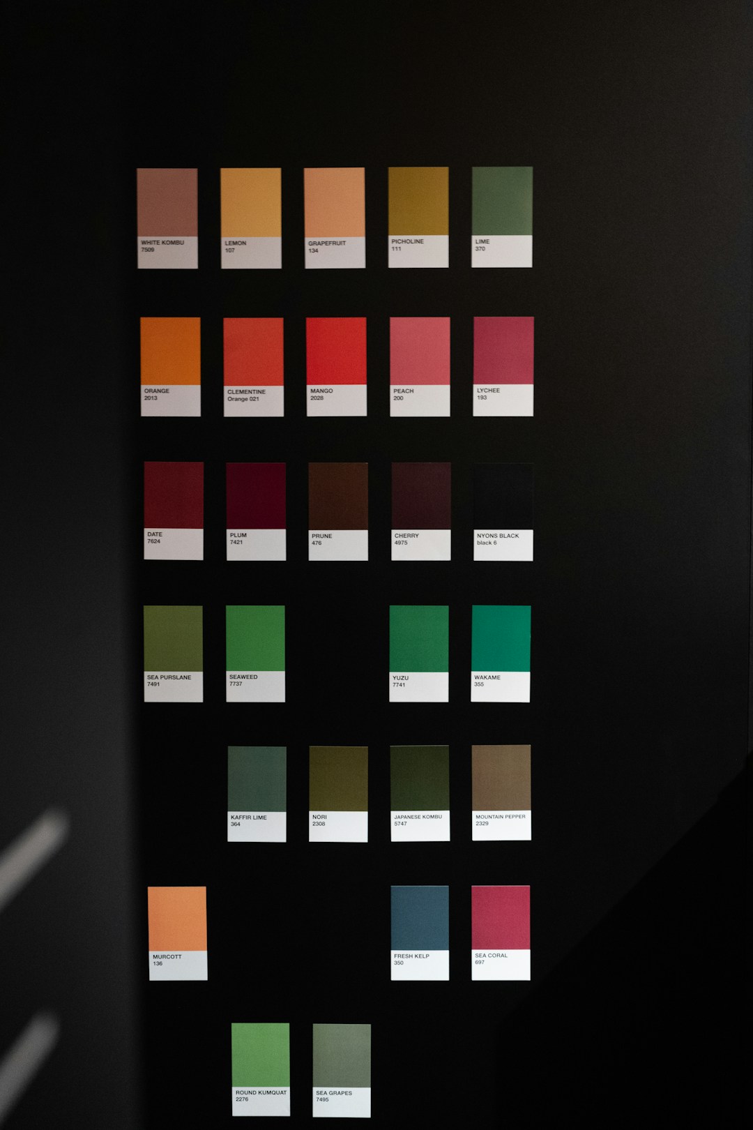 color palette selection for user interface design