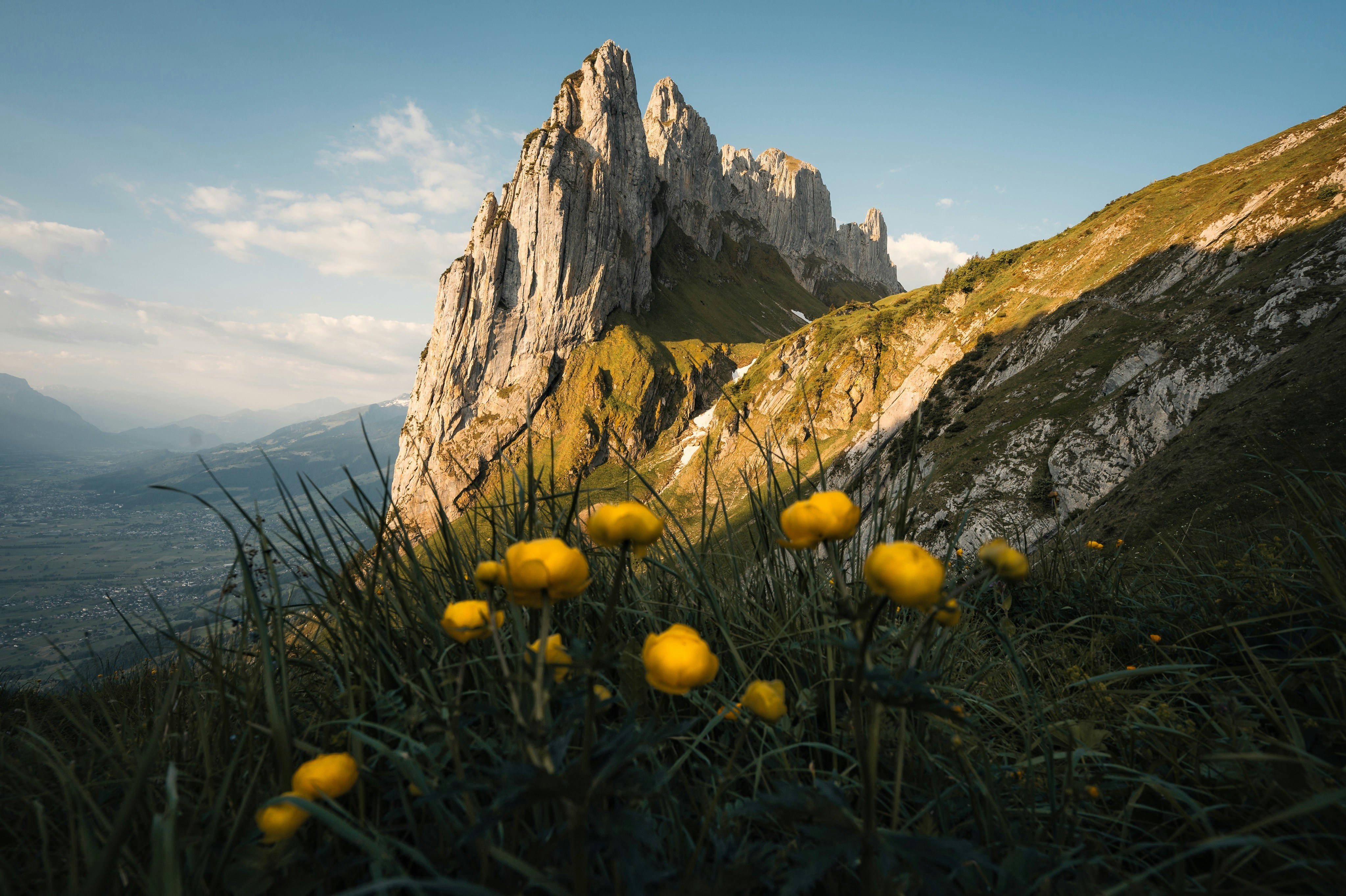 Yellow flowers bloom at the mountain's foot.