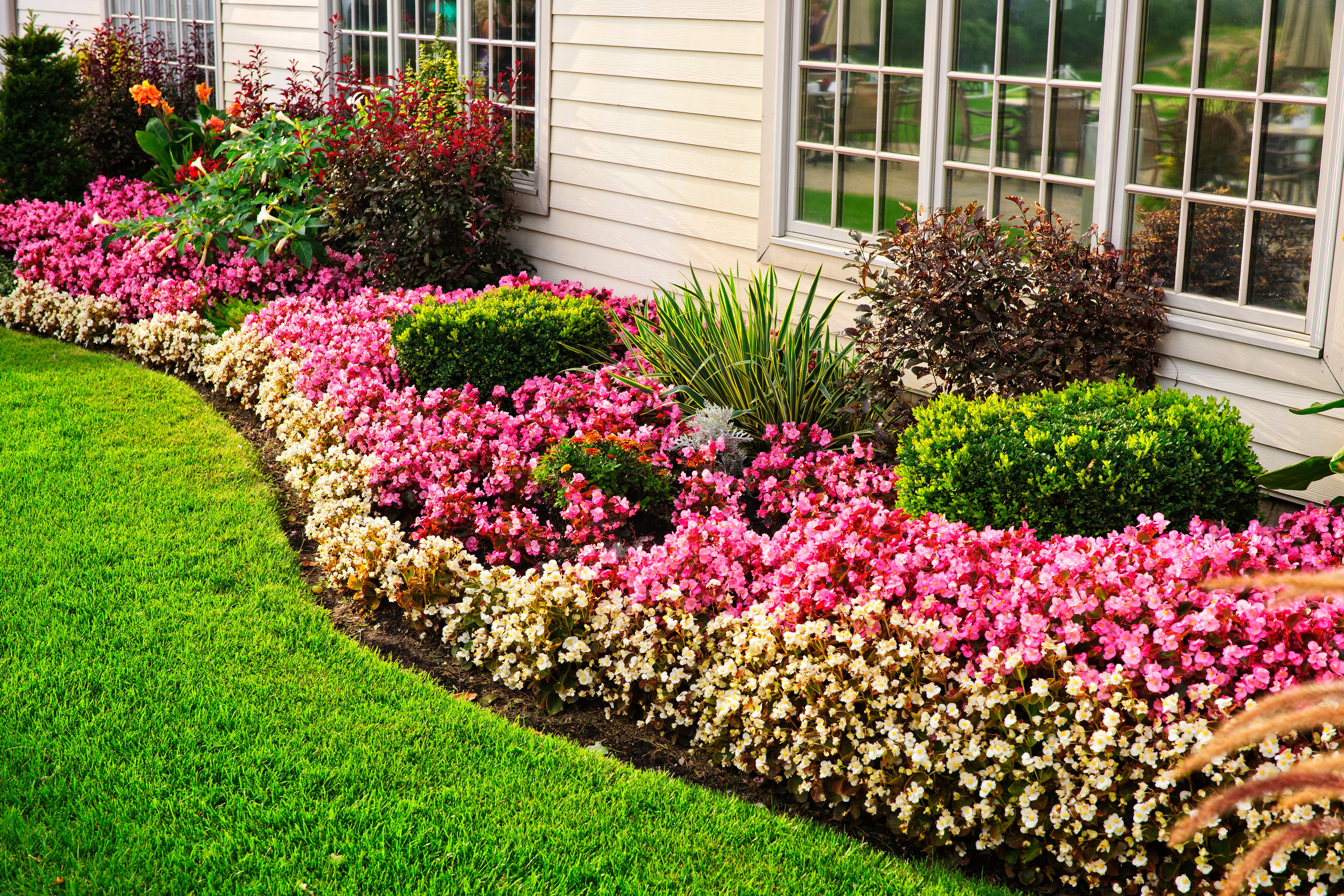 Residential Landscaping Palm Coast and Ormond Beach