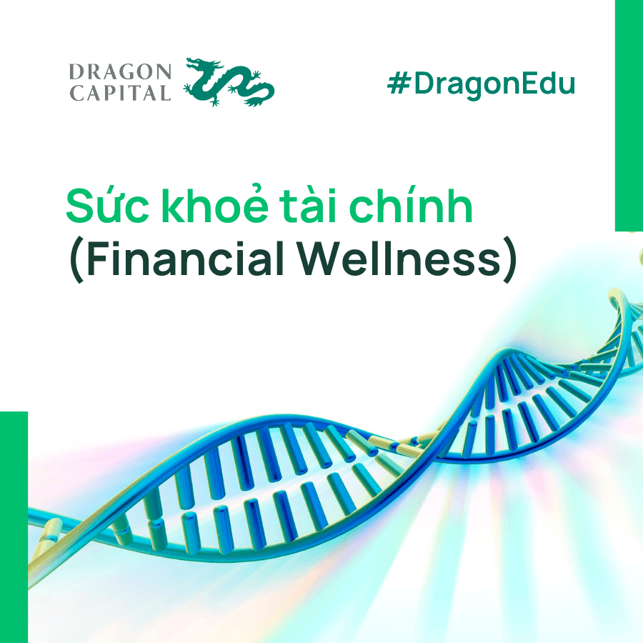 Sức khỏe tải chính - Financial Wellesss - Dragon Capital Việt Nam