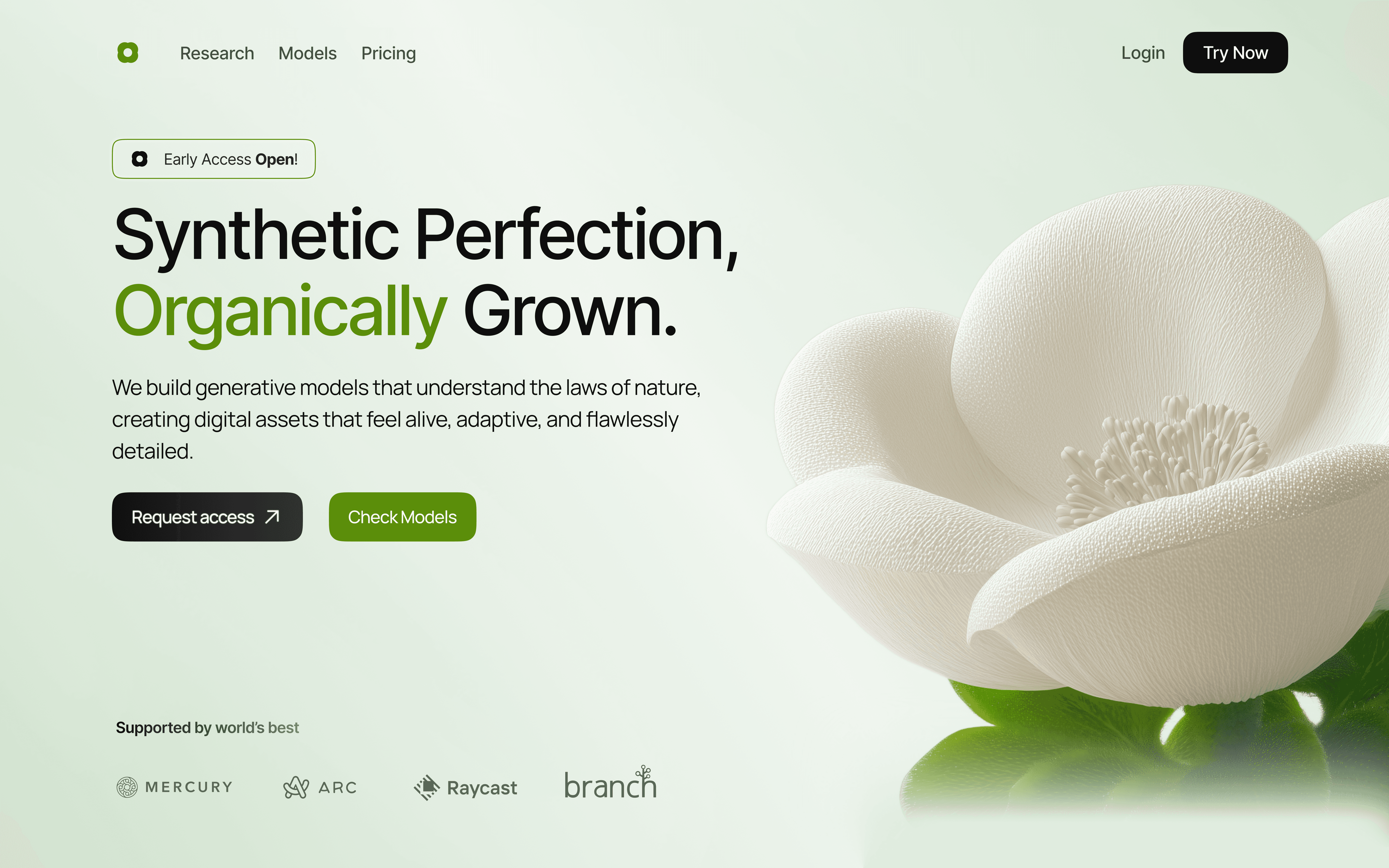 Realione Hero section