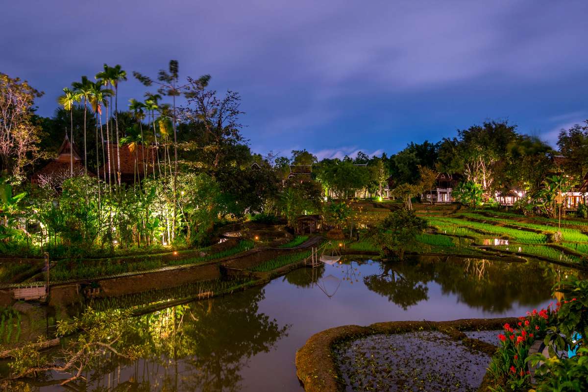 A lush tropical garden at dusk features a pond with koi fish, illuminated trees, and palm trees under a blue sky.