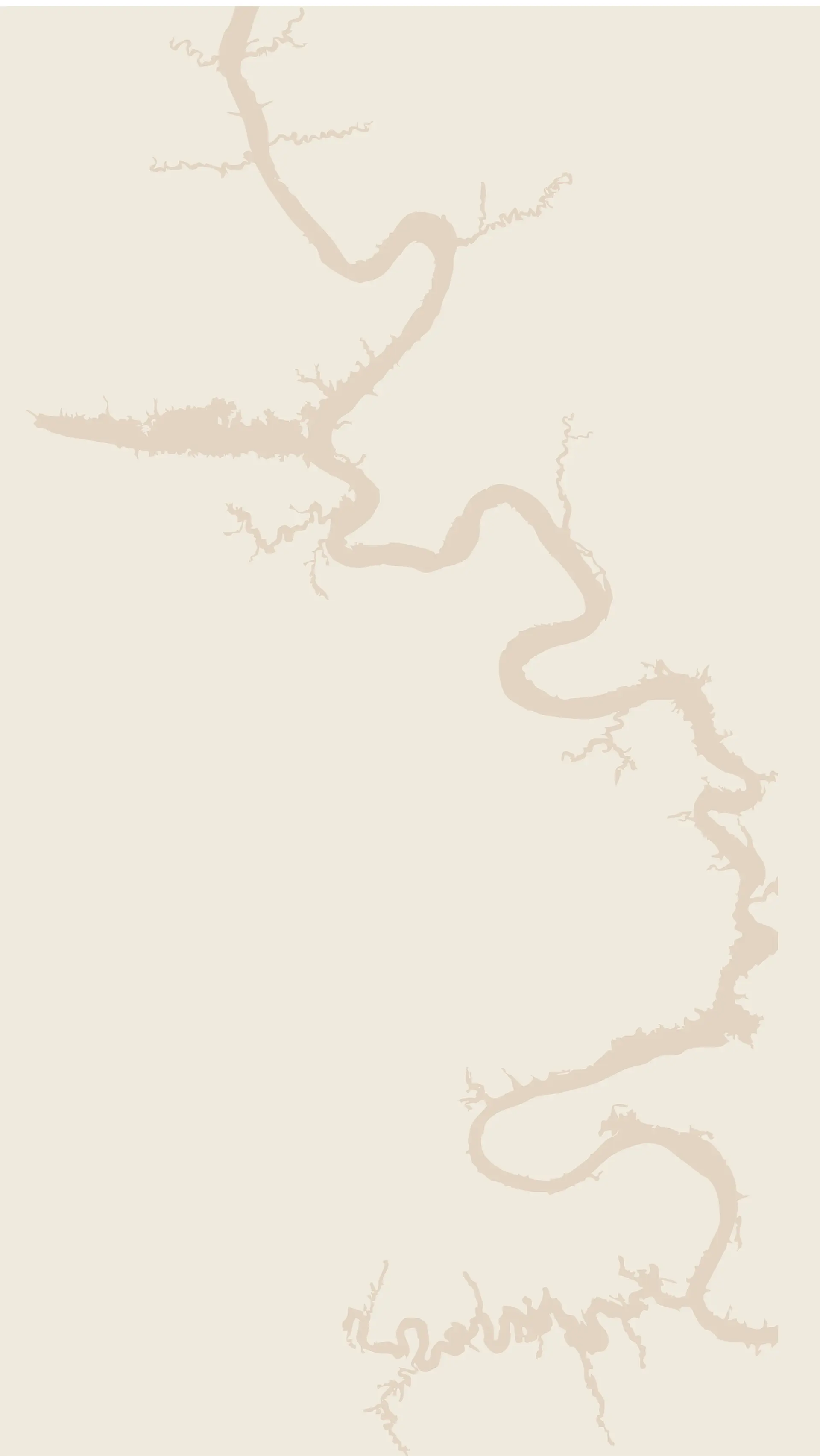 arizona map pattern on a beige background