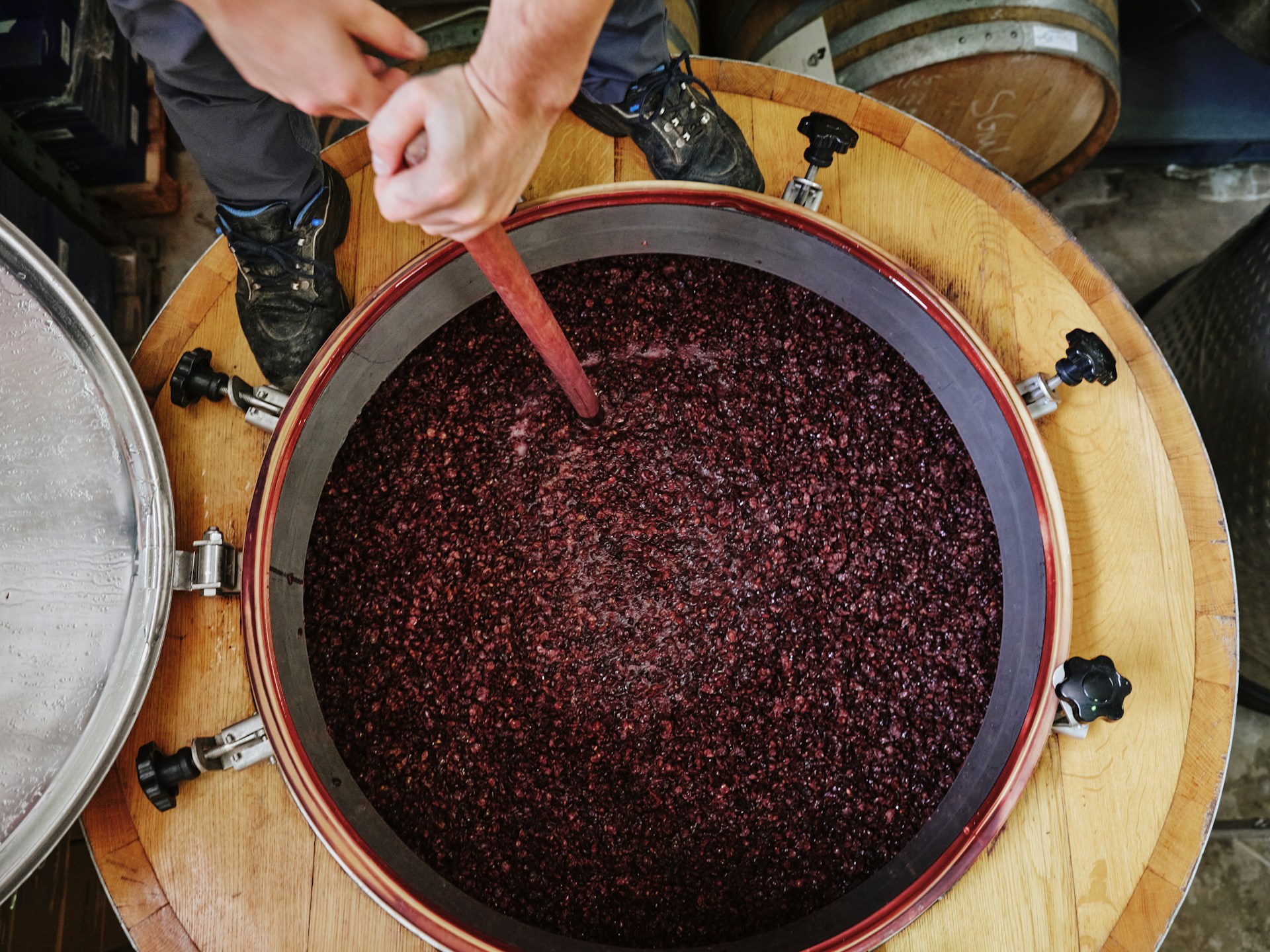 Red crushed grapes in a tank fermenting