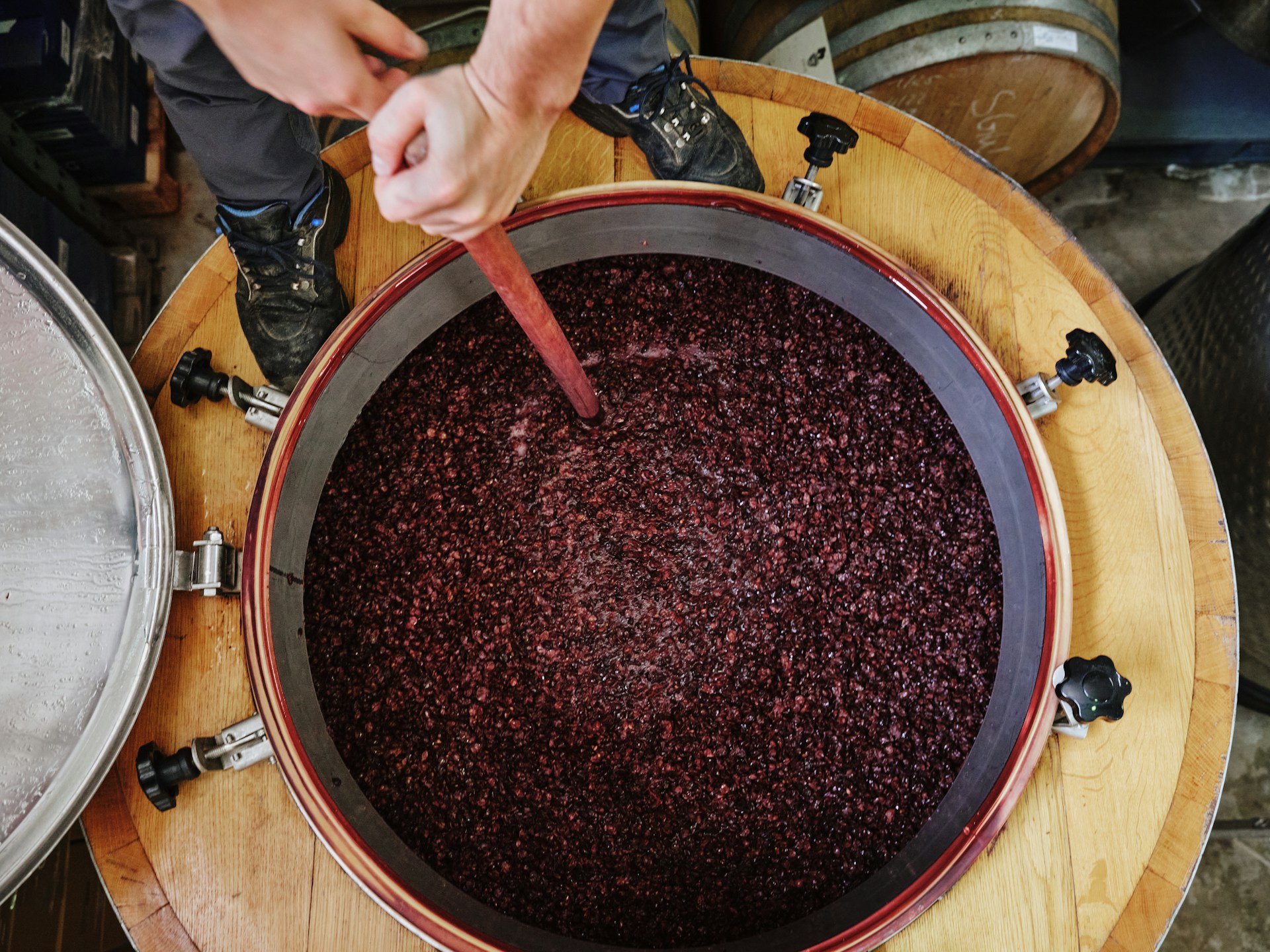 What is maceration in winemaking?