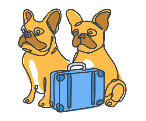 Pet sitter for holidays