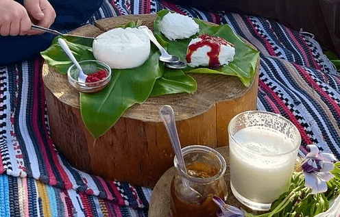 Cheese, jam and mik on wood