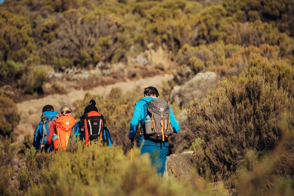 Tanzania Trekking Tours