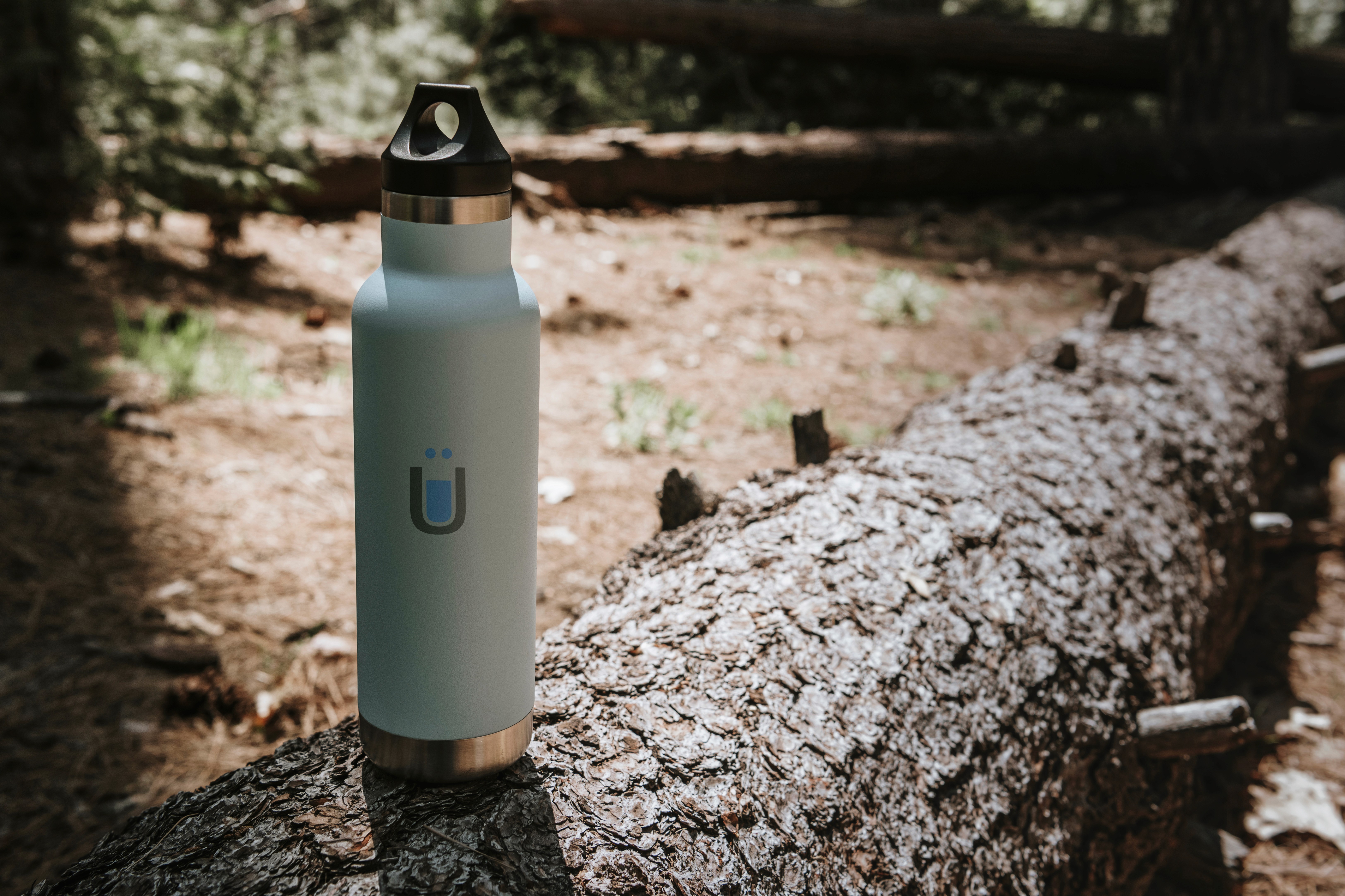 Light blue insulated water bottle from BrüMate standing on a fallen log in a forest setting with soft natural light and blurred trees in the background.