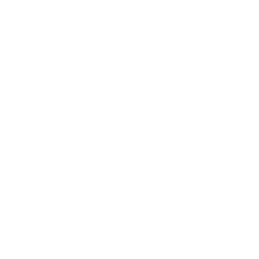 Reparaturservice Icon