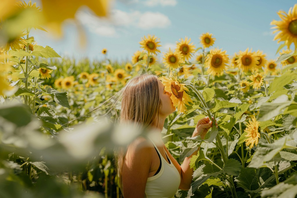 A woman in a field of sunflowers