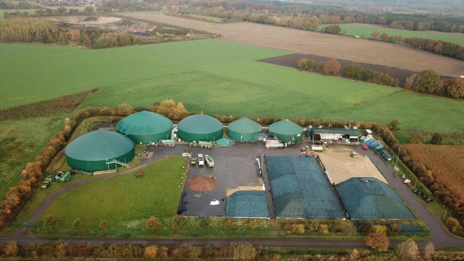 v.l. Christoph Frauenpreiss, Vanessa Zobel, Dr. Cornell Babendererde, Dr. Hendrik Hoppenstedt, Heiner Schönecke