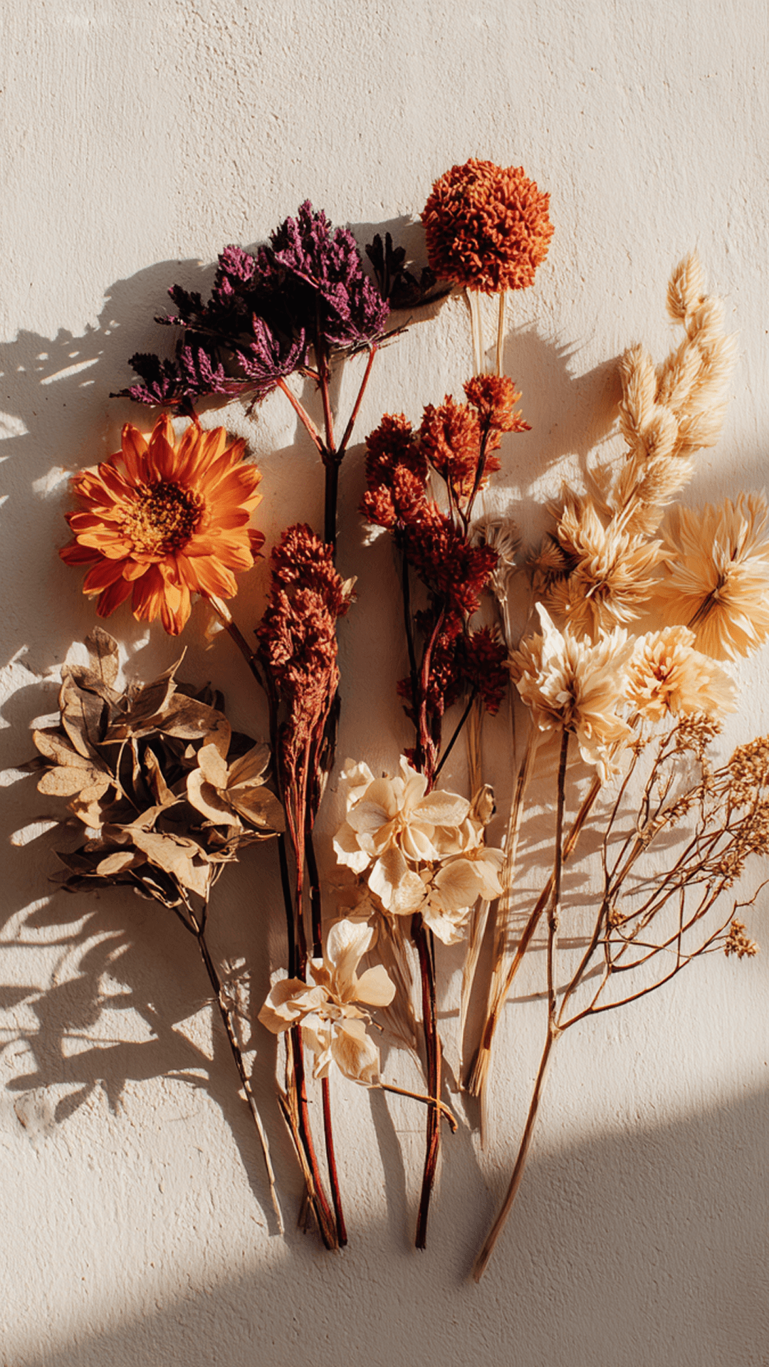 Fleurs séchées
