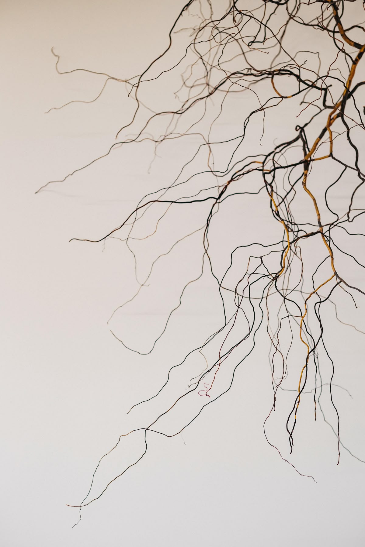 Dynamic picture of a cyclist riding downhill