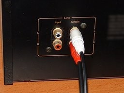 audio input and output ports (red and white cables)