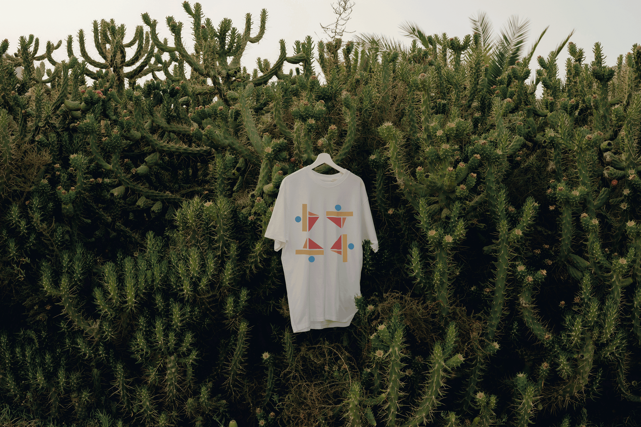 A t-shirt with the 4Culture logo hanging from a cactus