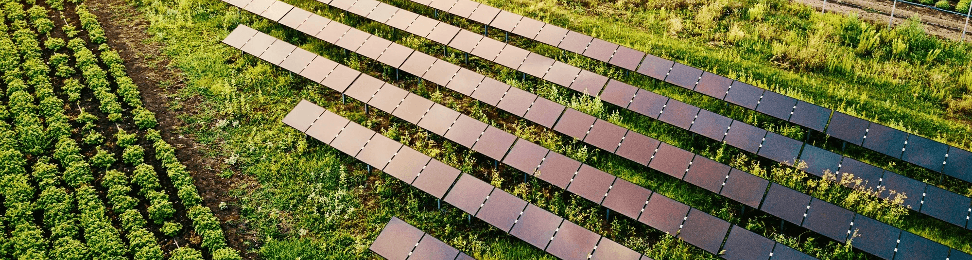 lurred crowd of people walking through a busy airport or transit terminal.
