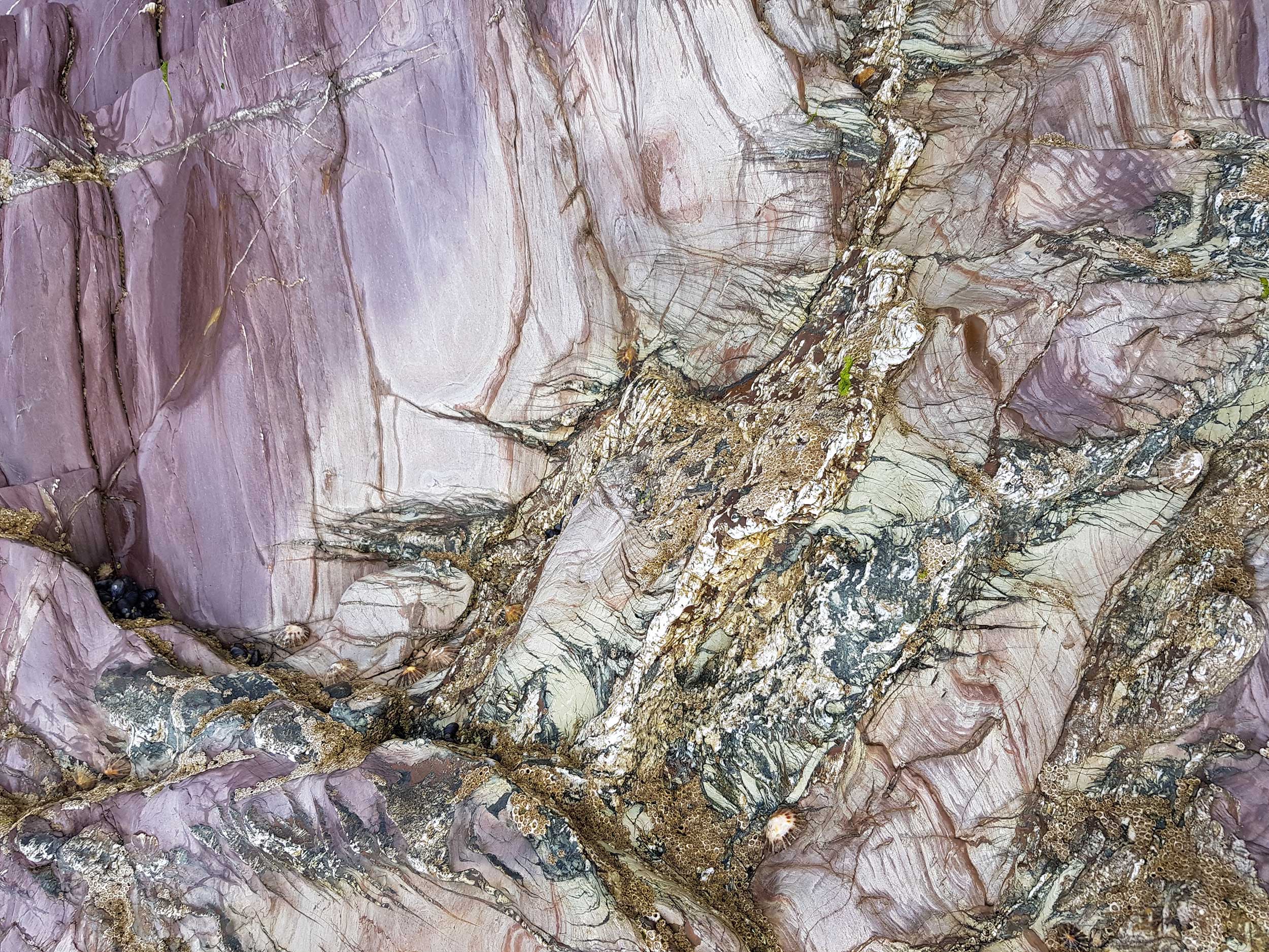 blue sky and white clouds over the sea