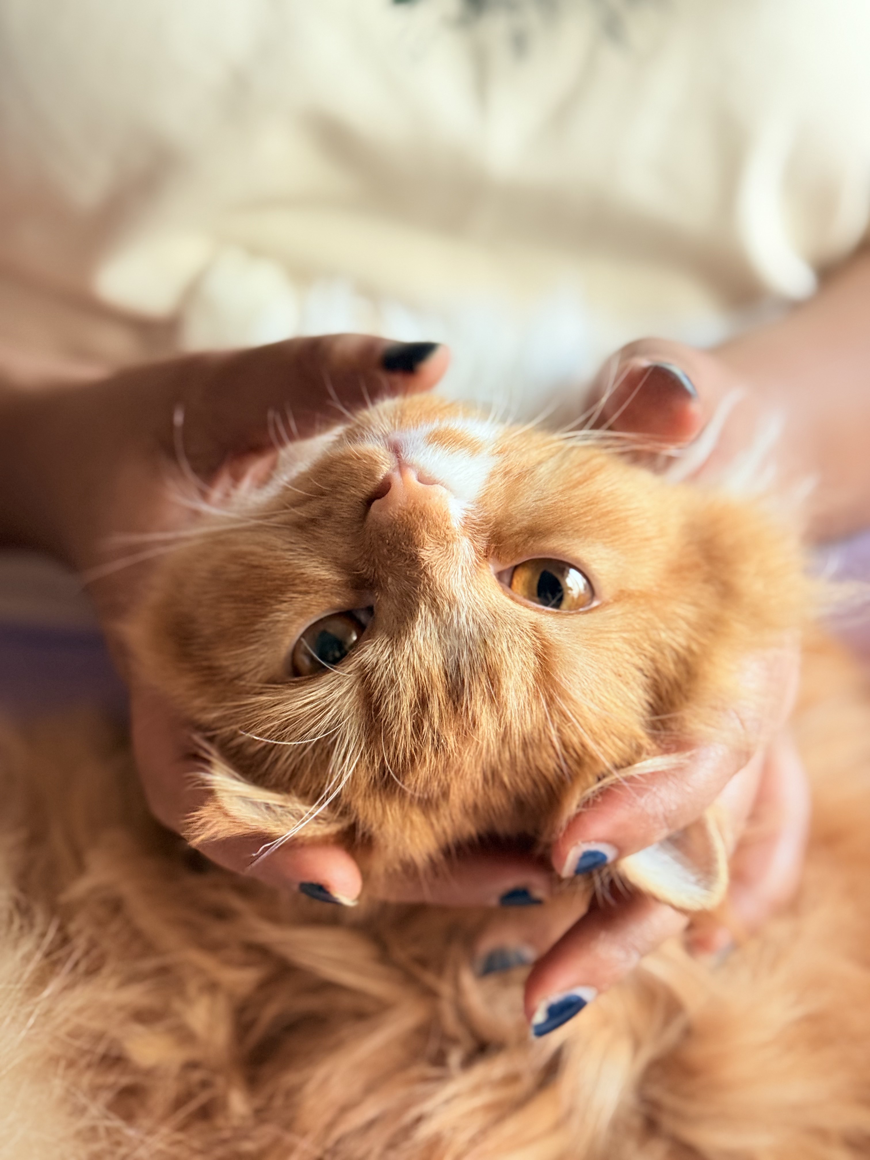 Outdoor Café Seating in a Sunlit Alley