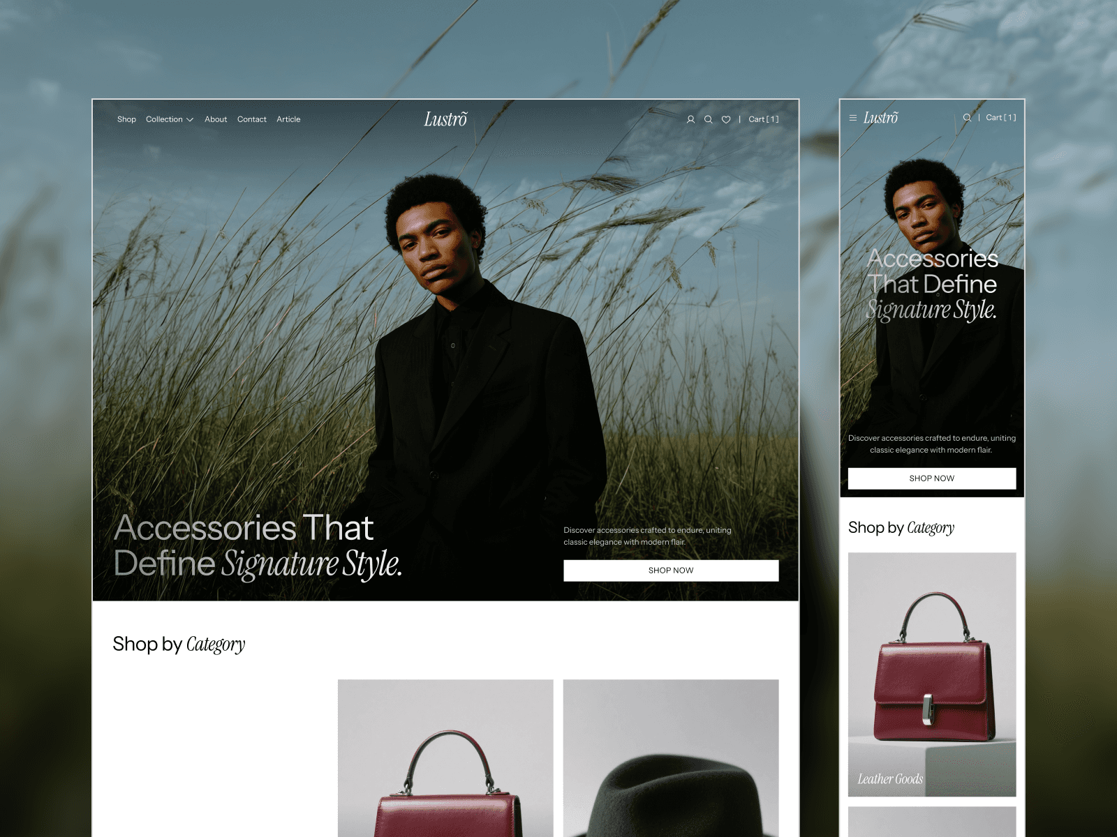 E-commerce Website Templates